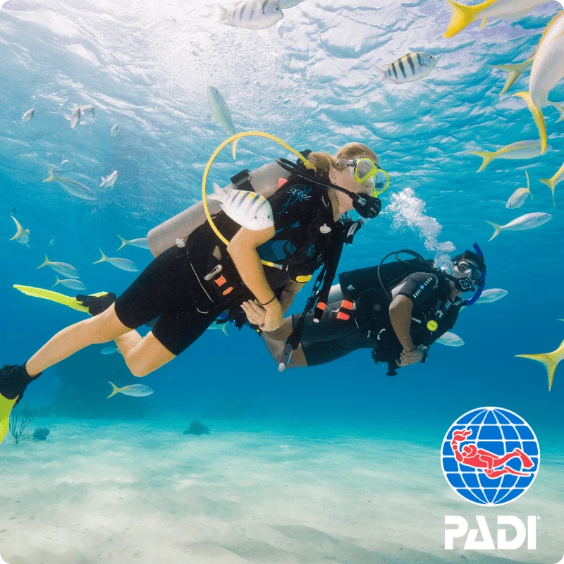 PADI オープン・ウォーター・ダイバー（OWD）コース — メイン